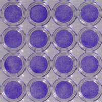 Reduced edge effect in CytoOne